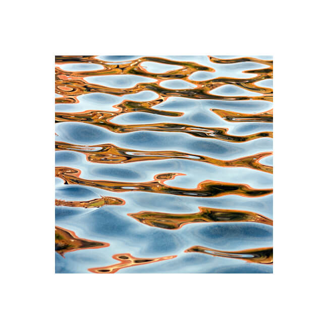 Fluidity #215 Fluidity #215