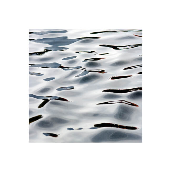 Fluidity #216 Fluidity #216