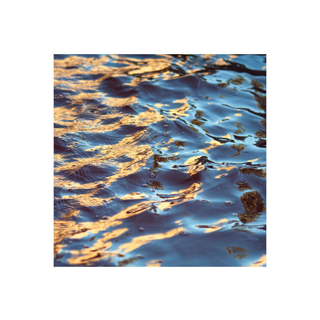 Fluidity #219 Fluidity #219