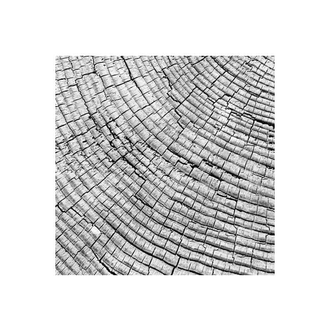 Weathered #2206 Weathered #2206
