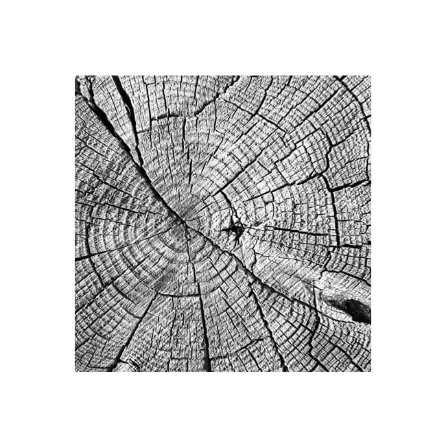 Weathered #2207 Weathered #2207
