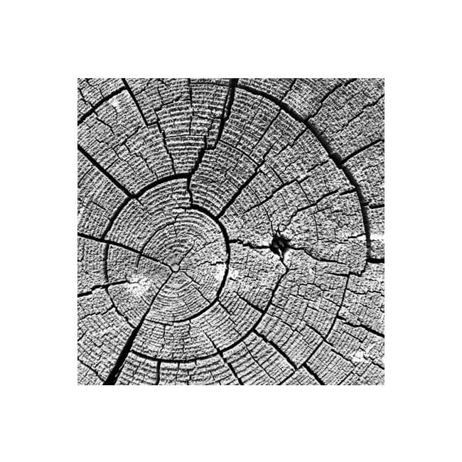 Weathered #2210 Weathered #2210