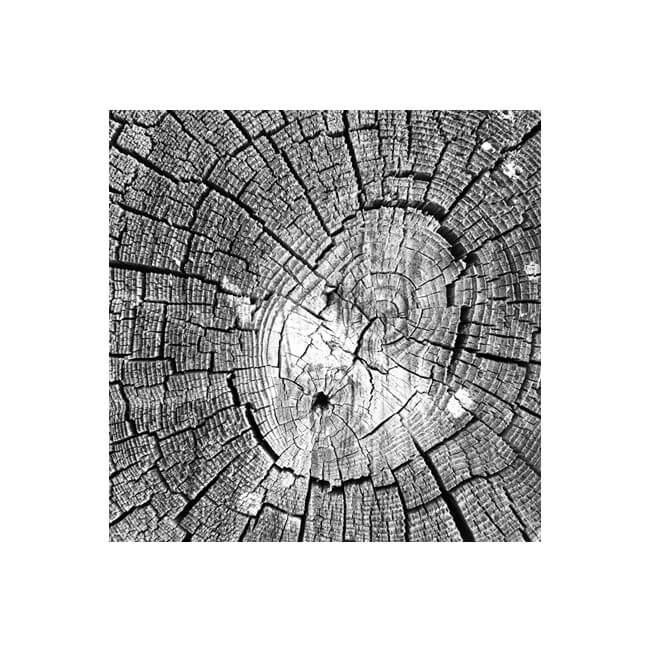Weathered #2205