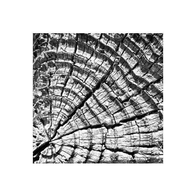 Weathered #2303 Weathered #2303
