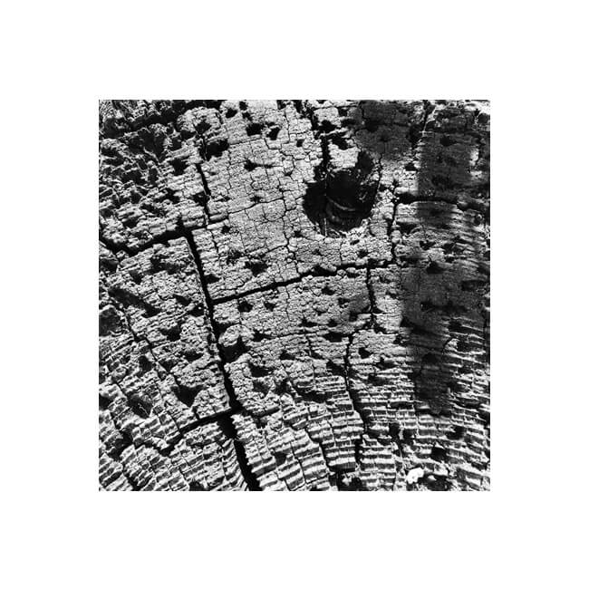 Weathered #2310 Weathered #2310