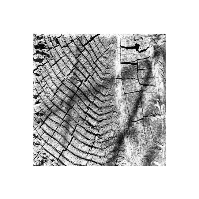 Weathered #2304 Weathered #2304