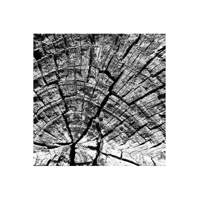 Weathered #2306 Weathered #2306