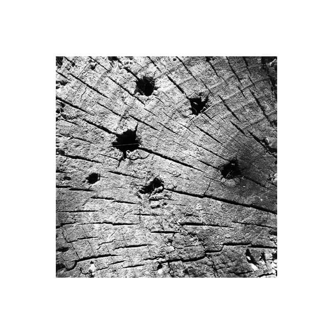 Weathered #2302 Weathered #2302
