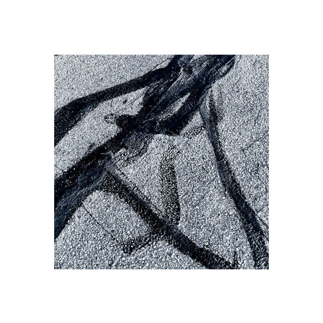 In Bold Strokes #2516 In Bold Strokes #2516