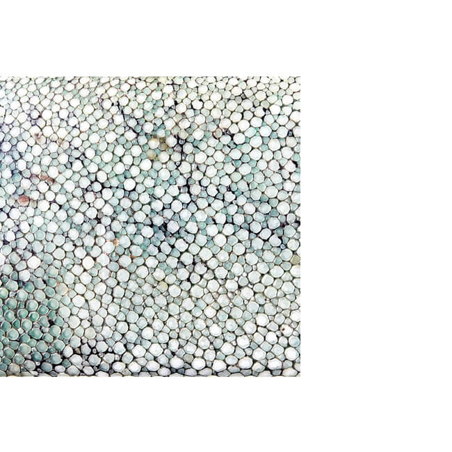 Droplets