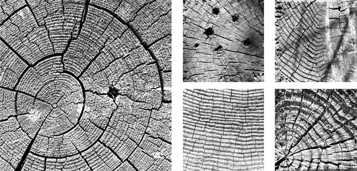 Weathered Exhibition Weathered Exhibition